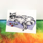 Sexy Raccoon Greeting Card