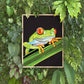 Frog 8x10 in. Art Print